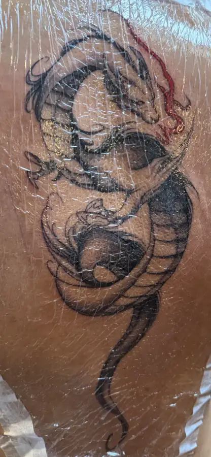 Pierna recién tatuada y cubierta con film: un dragón enroscado en blackwork de línea marcada y relleno sólido.