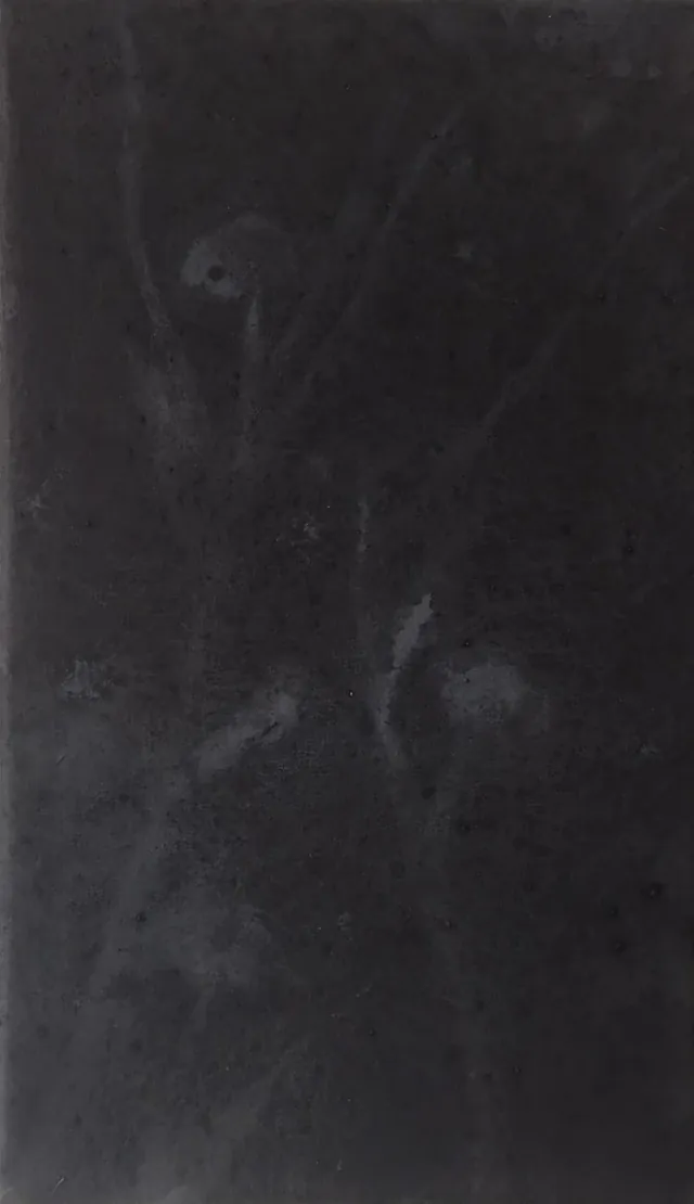 Lámina 5 de 7 de un políptico de láminas verticales gris oscuro en las que flores y tallos claros se reducen a manchas hasta casi desaparecer; en esta, tallos y flores muy tenues.