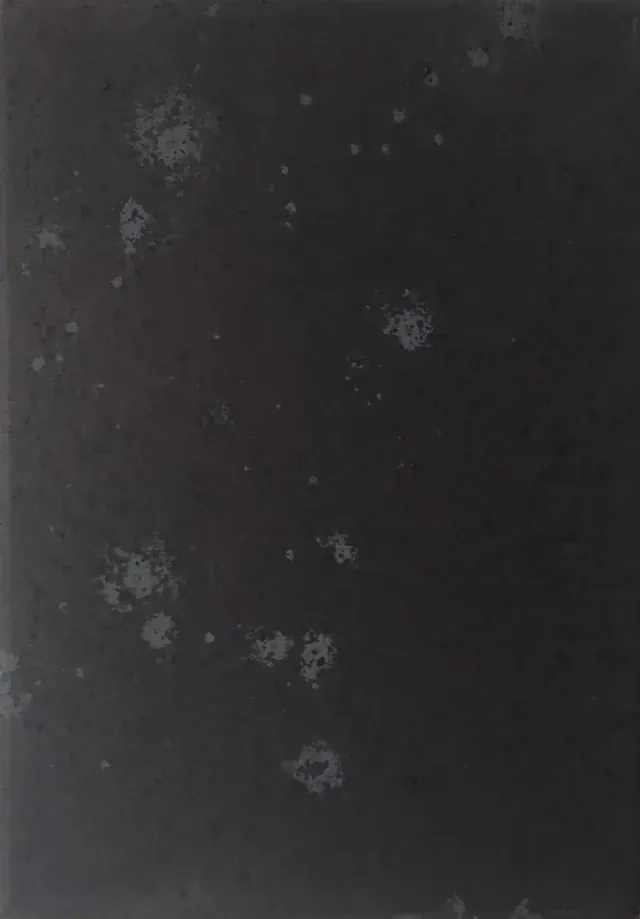 Lámina 6 de 7 de un políptico de láminas verticales gris oscuro en las que flores y tallos claros se reducen a manchas hasta casi desaparecer; en esta, solo manchas claras dispersas.