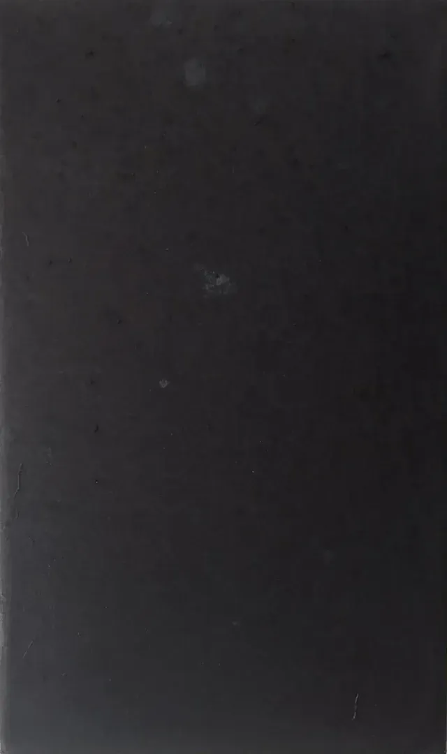 Lámina 7 de 7 de un políptico de láminas verticales gris oscuro en las que flores y tallos claros se reducen a manchas hasta casi desaparecer; en esta, casi uniforme, un gradiente oscuro con una mancha mínima.