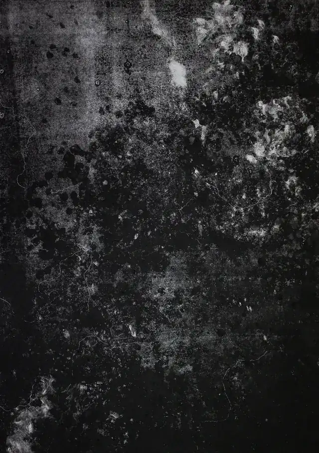 MORO AND OKKOTO2. Panel vertical oscuro en escala de grises con manchas negras redondeadas, filamentos finos claros y zonas blancas dispersas arriba a la derecha.