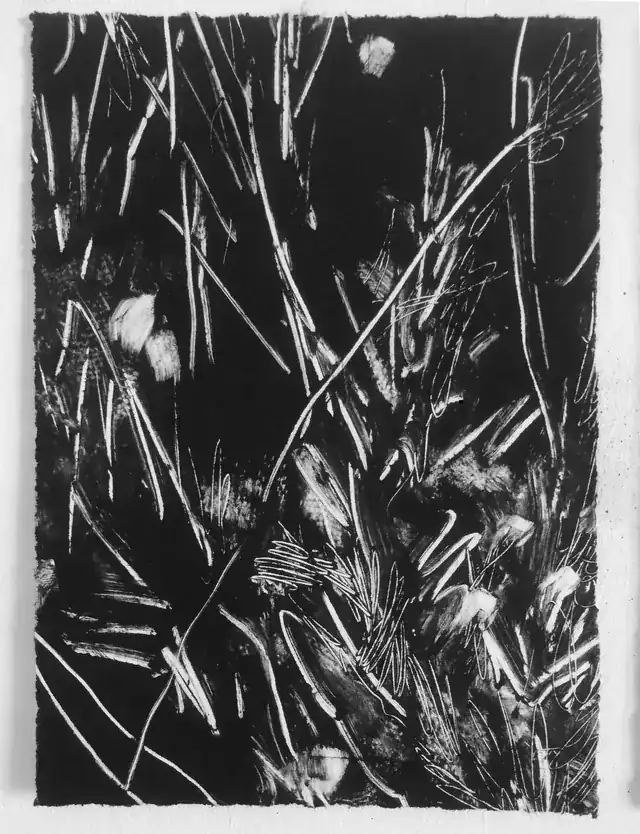 Sin título 01 (I) de la serie Resonancias, monotipo sobre papel, 21 × 15 cm. Monotipo vertical sobre papel de borde irregular: fondo negro recorrido por líneas blancas largas y curvas, trazos cortos agrupados y pequeñas manchas claras.