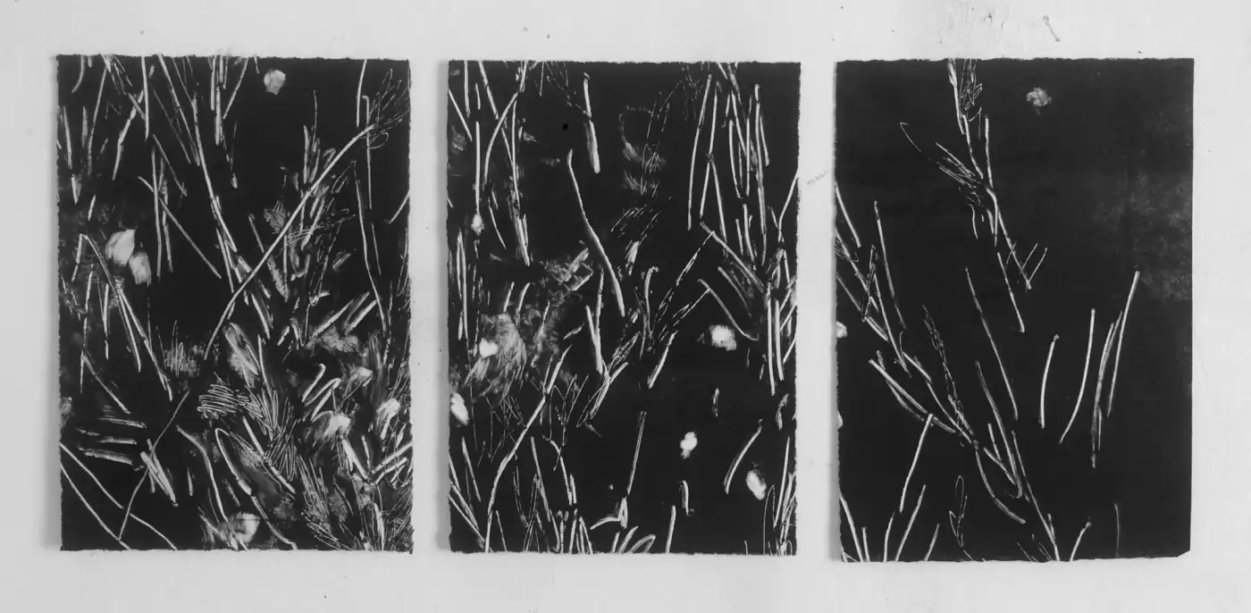 Tres monotipos verticales en blanco y negro colgados en fila sobre pared blanca: líneas blancas finas en diagonal sobre fondo negro.