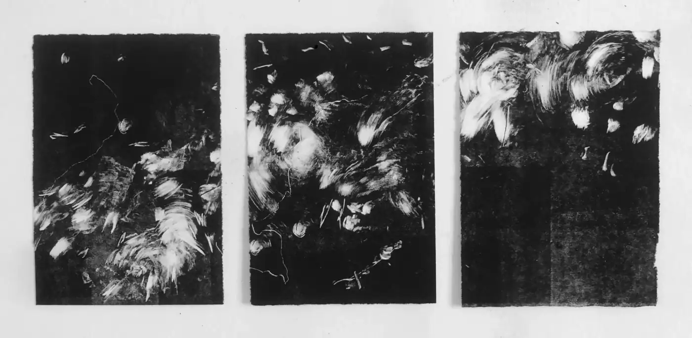 Sin título 02 de la serie Resonancias, monotipo sobre papel, 21 × 50 cm. Tres monotipos en blanco y negro en fila sobre pared blanca, con manchas blancas de pincelada arremolinada sobre fondo negro.