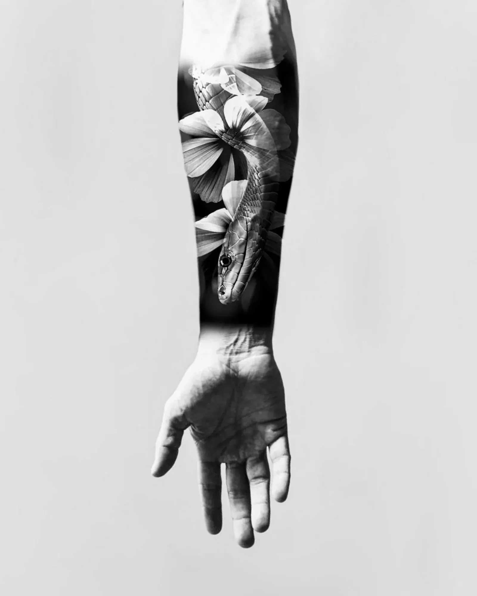 Diseño de realismo black & grey: una serpiente entre flores blancas, presentado en un montaje sobre un antebrazo.