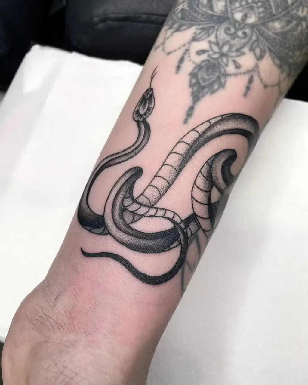 Antebrazo con una serpiente enroscada en black & grey y relleno en dotwork, bajo un ornamento floral anterior.