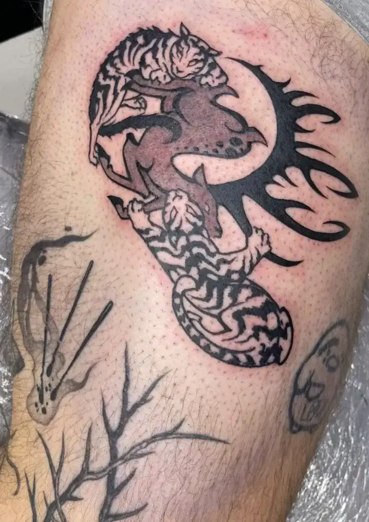 Muslo recién tatuado y aún con film: dos tigres entrelazados sobre una luna creciente, en blackwork de aire tribal.