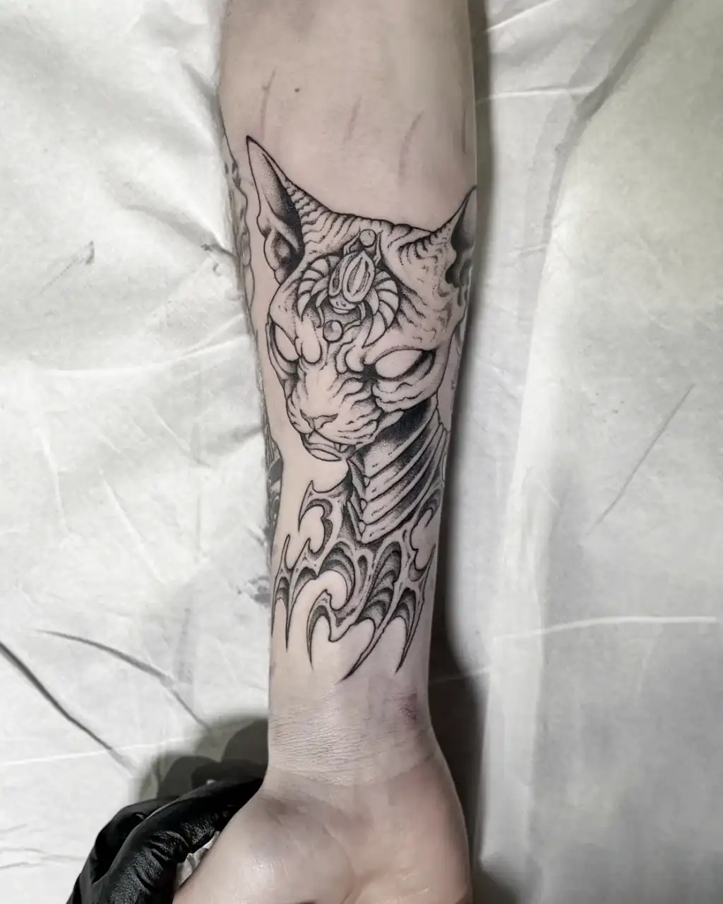 Antebrazo con la cabeza de un gato esfinge y ornamentos neotribales debajo, en black & grey de trazo fino.