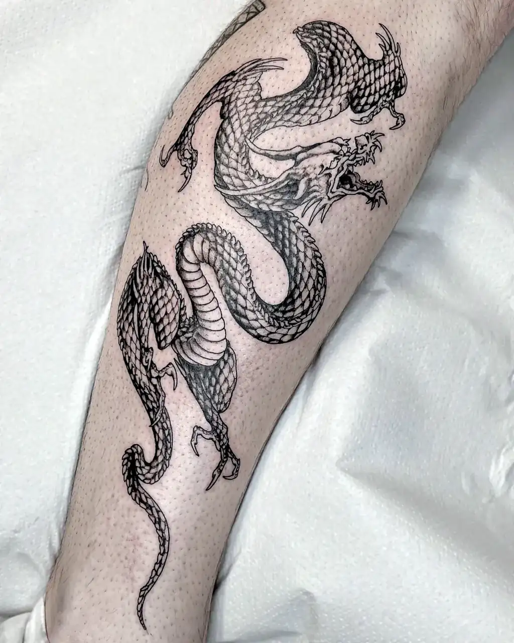 Dos dragones orientales enfrentados en dotwork sobre el gemelo.