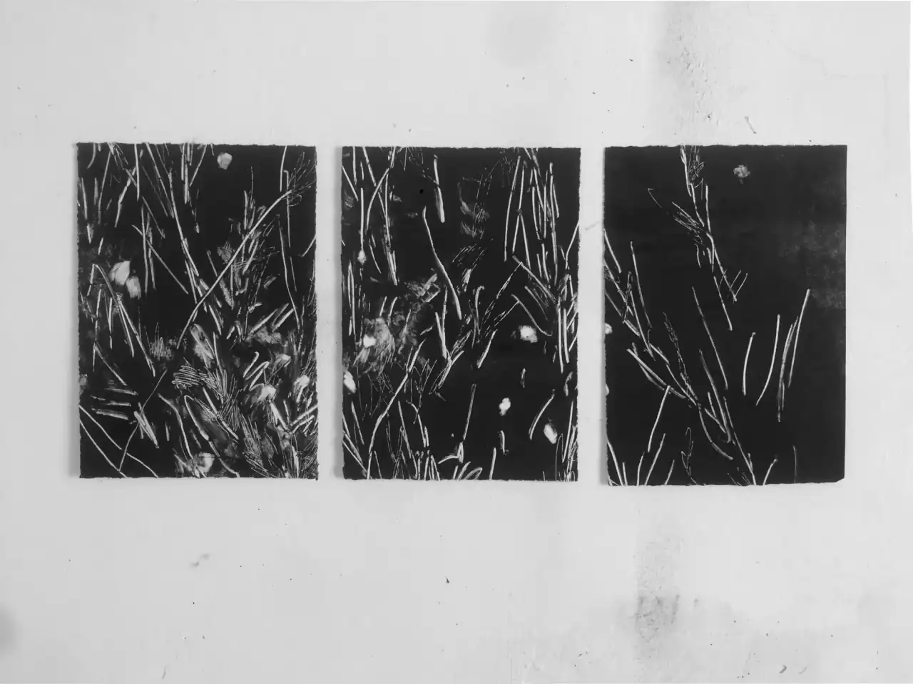 Sin título 01 de la serie Resonancias de María Vera: tres monotipos sobre papel con trazos claros sobre negro, colgados en pared blanca.
